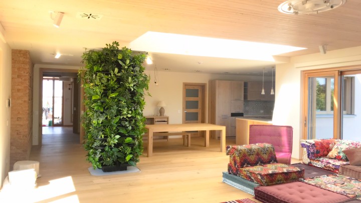 Zelený sloup OLOMOUC