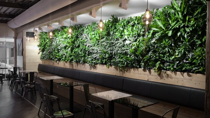 OSTERIA MARTINSKA Plzeň