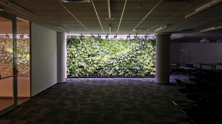 ČESKÁ POJIŠŤOVNA