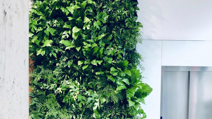 Stiebel Eltron Praha